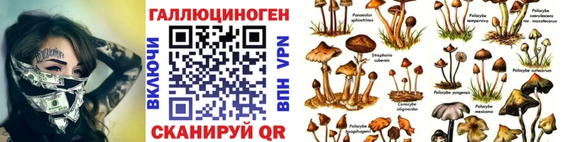 Псилоцибиновые грибы MAGIC MUSHROOMS  мориарти какой сайт  Мостовской  как найти наркотики 